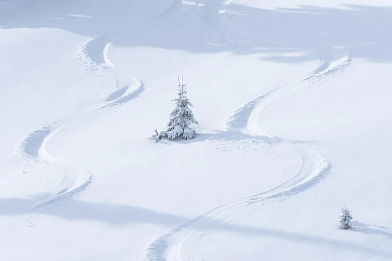 Eine weite, unberührte alpine Berglandschaft mit Tiefschneefeldern, die zum Freeriden einlädt und Abenteuer verspricht.