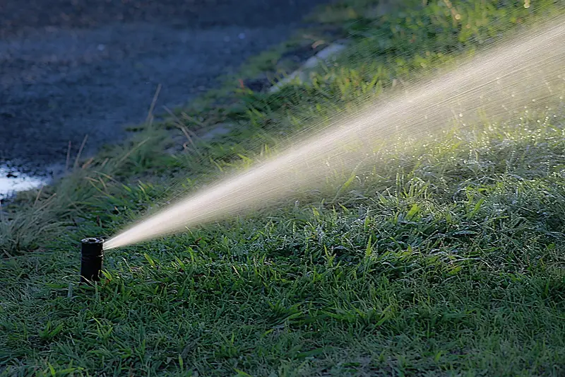 Ein üppiger, bewässerter Garten mit einem aktiven Rasensprenger für effiziente Gartenbewässerung.