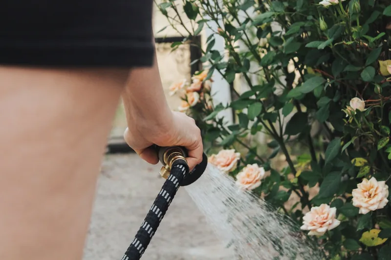 Eine Person bewässert Pflanzen im Garten mit einem 30m Gartenschlauch und Sprühdüse, im Einsatz.