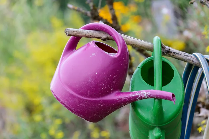 Eine idyllische Gartenszene mit verschiedenen Gießkannen und anderen Gartenwerkzeugen im Grünen.