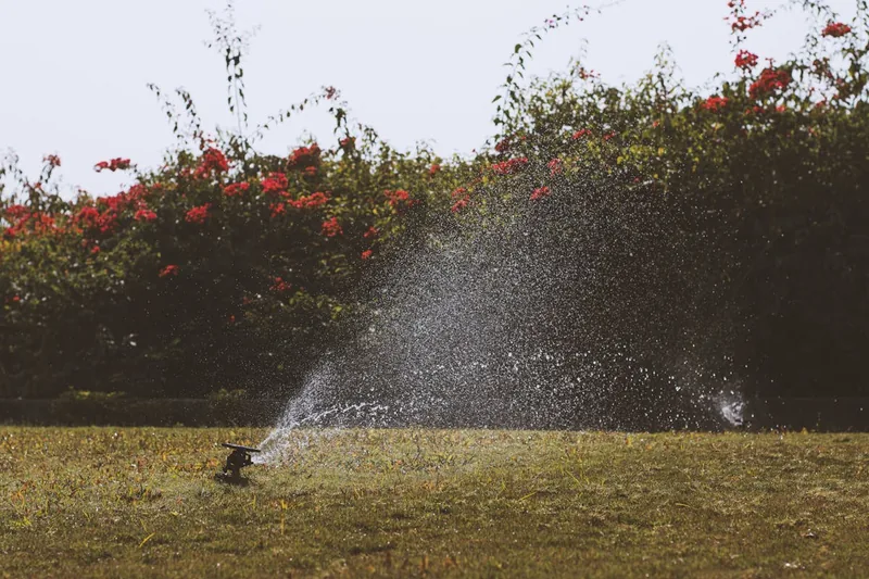 Ein bewässerter Garten mit einem Rasensprenger, der für optimale Wasserversorgung sorgt.