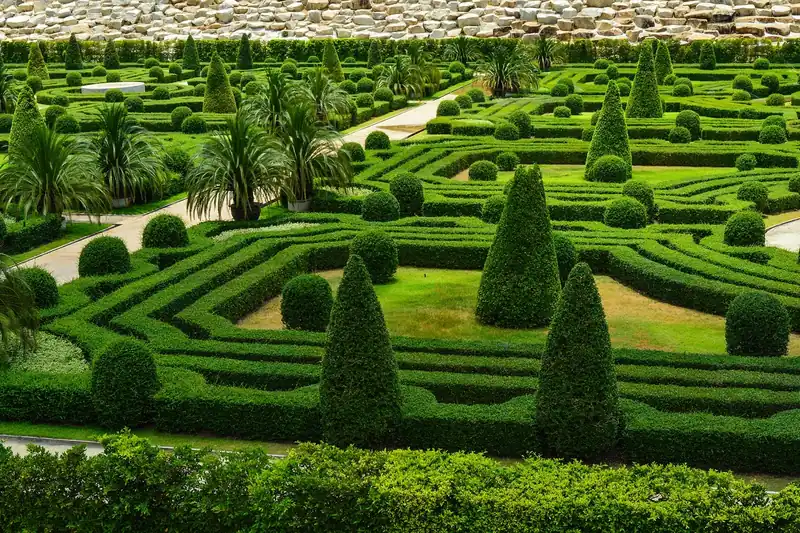 Eine gepflegte Gartenlandschaft mit ordentlich beschnittenen Baumkronen, Ergebnis sorgfältiger Baumpflege.