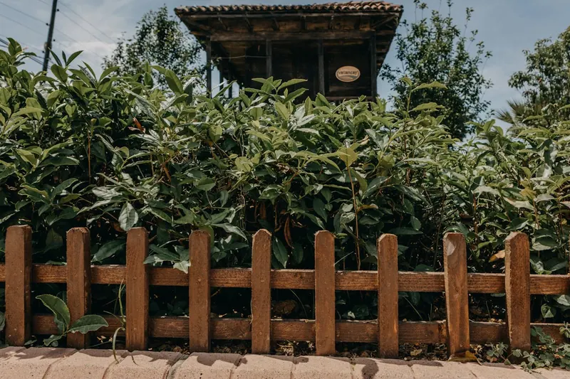 Ein idyllisches Gartenambiente mit einem stabilen Holzzaun, dessen Holzpfosten das Gesamtbild harmonisch ergänzen.
