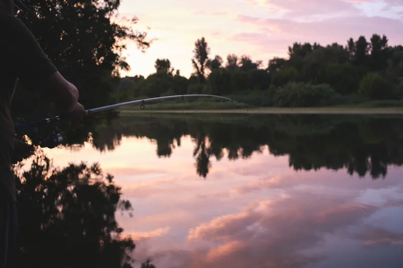 Idyllische Angelkulisse bei Sonnenuntergang an einem See, mit aufgestellten Karpfenruten im Hintergrund.