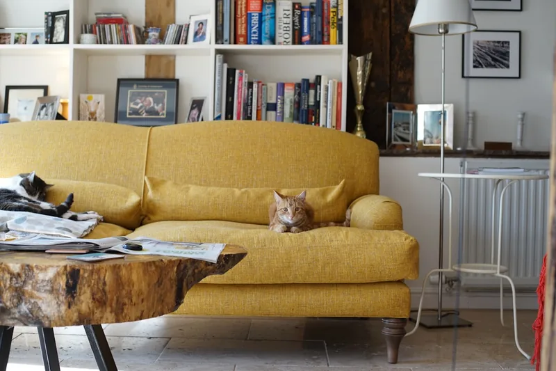 Eine stilvolle Katzenhöhle integriert sich harmonisch in ein modernes Wohnzimmer, neben einer Pflanze und einem Sofa.