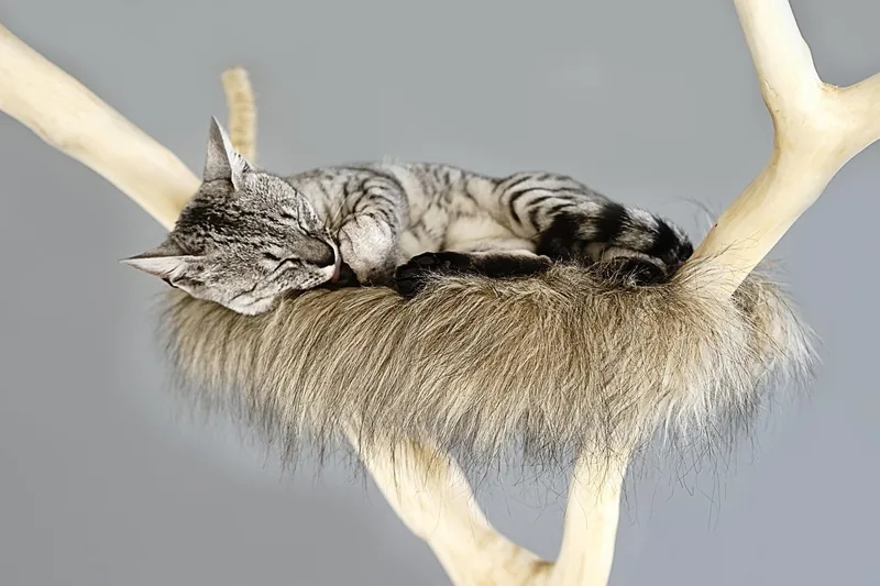 Ein gemütliches Wohnzimmer mit einem stilvoll integrierten Katzenkratzbaum, der Spielmöglichkeiten bietet und sich harmonisch einfügt.