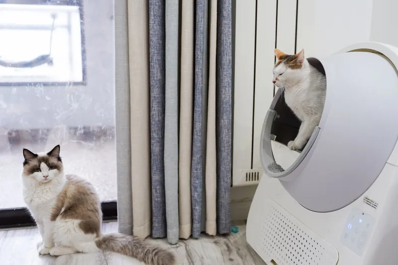 Ein sauberer und ordentlicher Bereich rund um das Katzenklo, dank der Streu-Matte.
