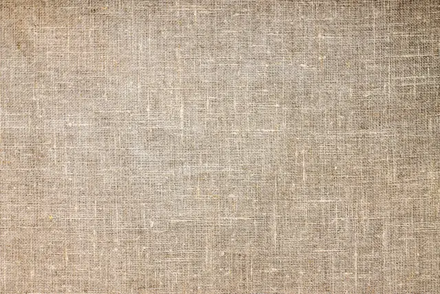 Nahaufnahme der Textur eines Katzentunnels, zeigt das robuste Material für Langlebigkeit.