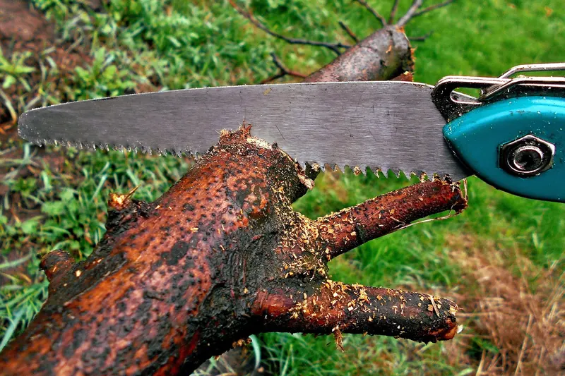 Nahaufnahme des scharfen Sägeblattes und der Zahnung einer Klappsäge, die hochwertige Verarbeitung zeigt.