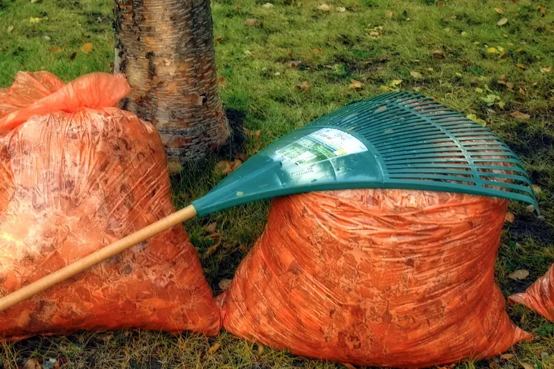 Ein moderner Krallenbesen in Nahaufnahme, als Gartenwerkzeug dargestellt, mit ergonomischem Griff und zackigen Zinken.