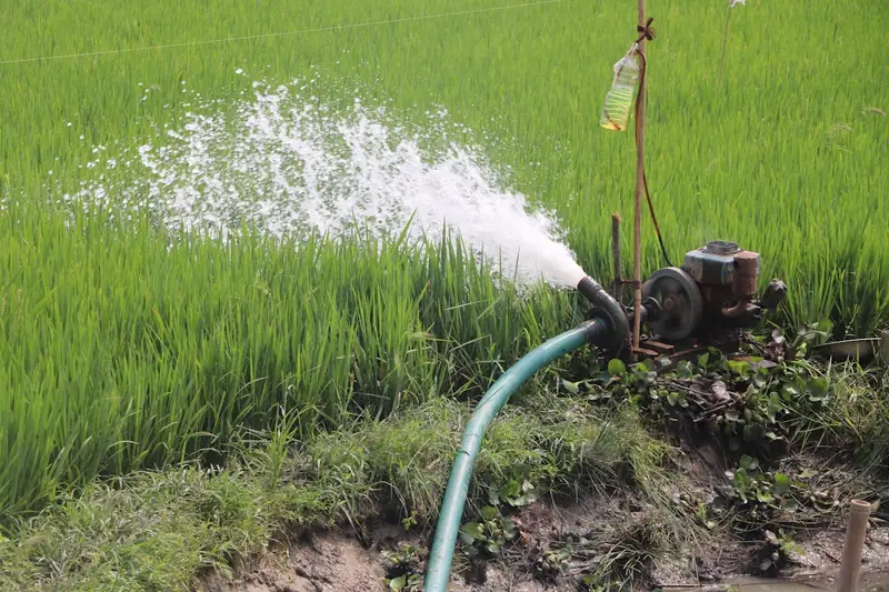 Eine Kreiselpumpe im praktischen Einsatz im Garten, ideal für Teich oder Bewässerungssysteme.