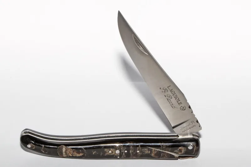 Ein einzelnes, elegant geschwungenes Laguiole-Messer auf hellem Hintergrund, das seine Form und Qualität hervorhebt.