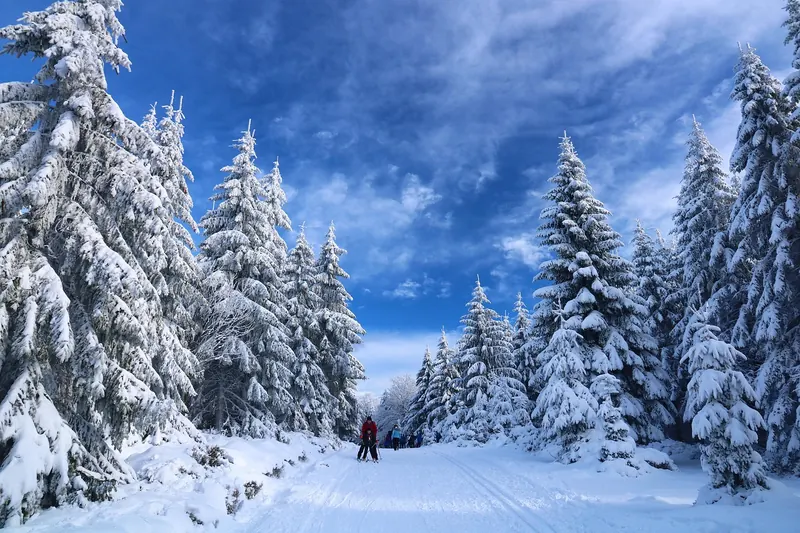 Idyllische Winterlandschaft mit Langlauf-Loipen und verschneiten Bäumen, die zum Langlaufen einlädt.
