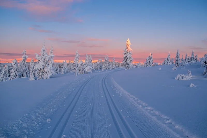 Malerische Winterlandschaft mit verschneiter Loipe, die zur Benutzung einer Langlaufhose einlädt.