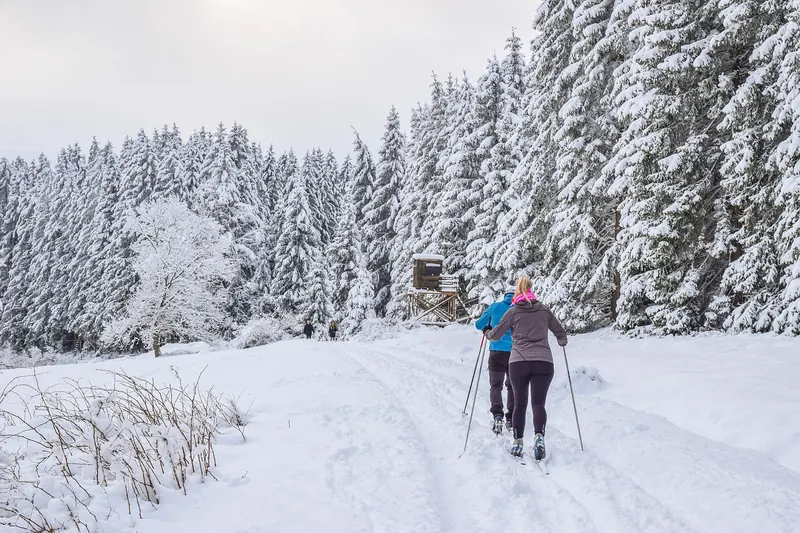 Idyllische, verschneite Langlaufloipe im Winterwald, die zum Skaten einlädt und Freiheit vermittelt.