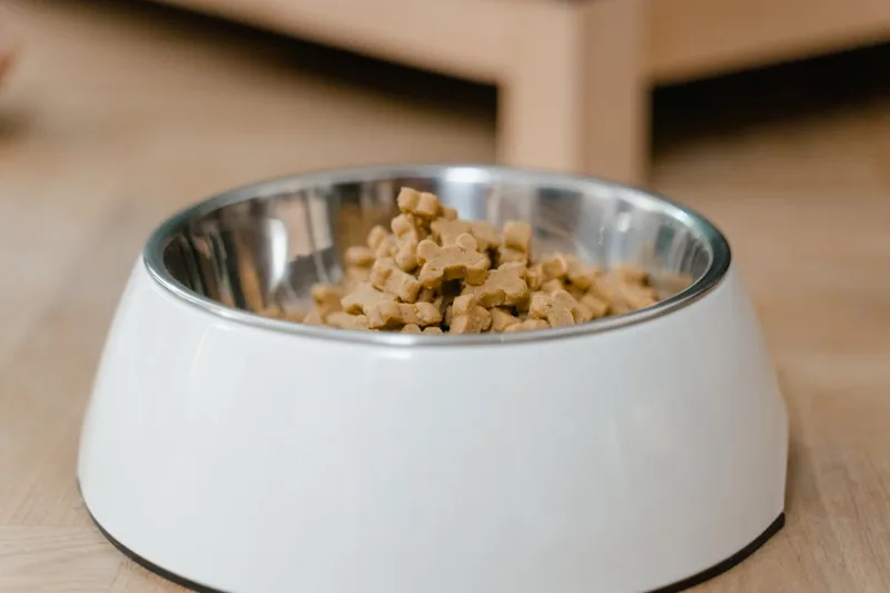 Nahaufnahme verschiedener kleiner Welpenleckerlis, sauber aufgereiht, präsentiert das Produkt klar und deutlich als Leckerli für Welpen.