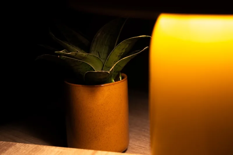 Eine Hand platziert eine leuchtende LED-Kerze auf einem Sideboard, um eine gemütliche Szene zu arrangieren.