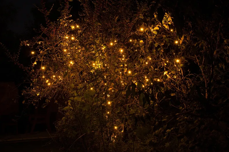 Eine aufgerollte Lichterkette für den Außenbereich, bereit für stilvolle Gartenbeleuchtung.
