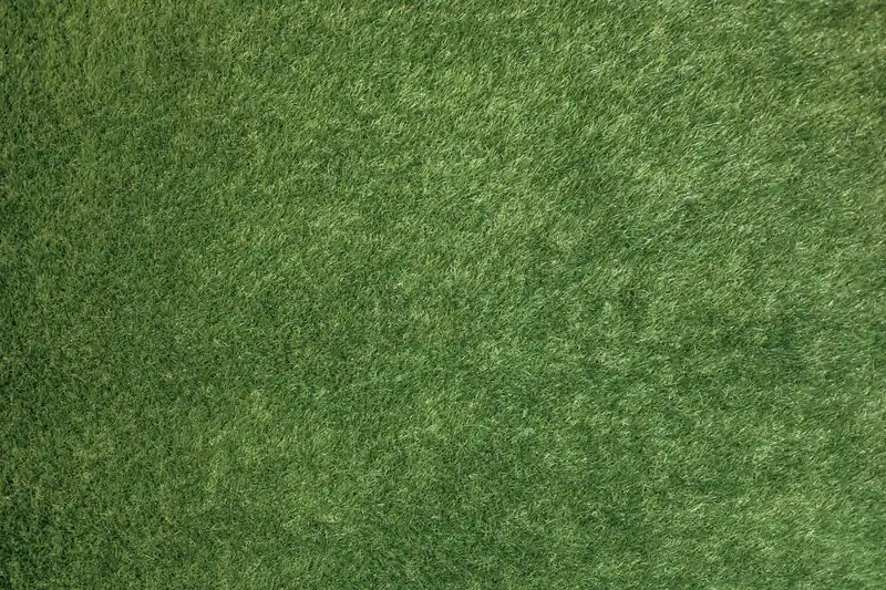 Ein makellos gepflegter, grüner Rasen in einer idyllischen Gartenlandschaft ohne Begrenzungskabel.