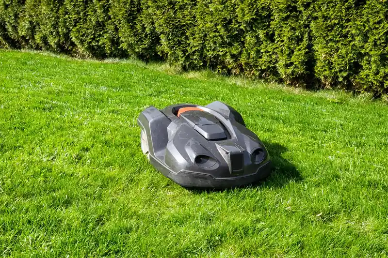 Eine Person steuert den Mähroboter per Smartphone-App im Garten, intelligentes Rasenmähen.