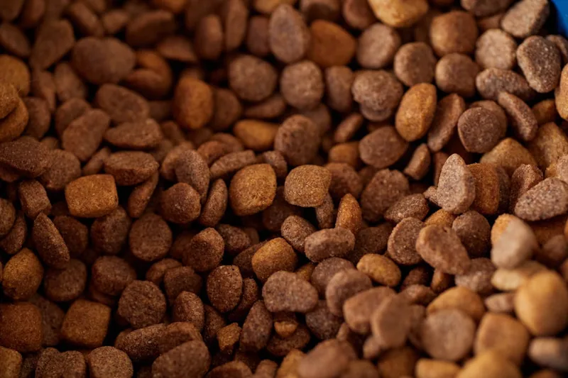 Nahaufnahme von Hundefutterpellets mit sichtbarer Textur und kleinen Einschlüssen, die Inhaltsstoffe andeuten.