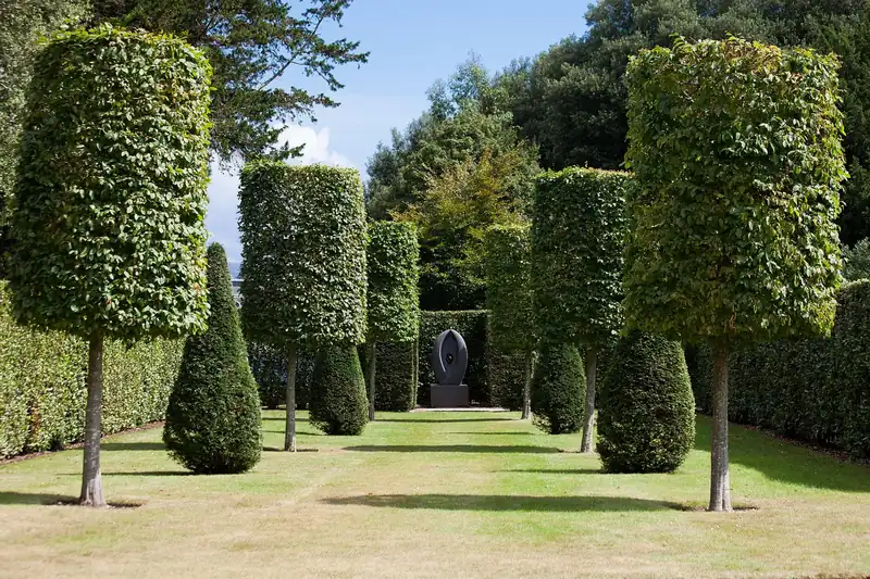 Eine sauber geschnittene Hecke in einem gepflegten Garten, als Ergebnis der Gartenarbeit.