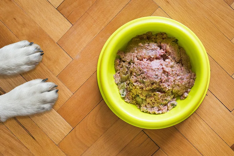 Nahaufnahme von mehreren Dosen getreidefreiem Nassfutter für Hunde, ansprechend präsentiert.