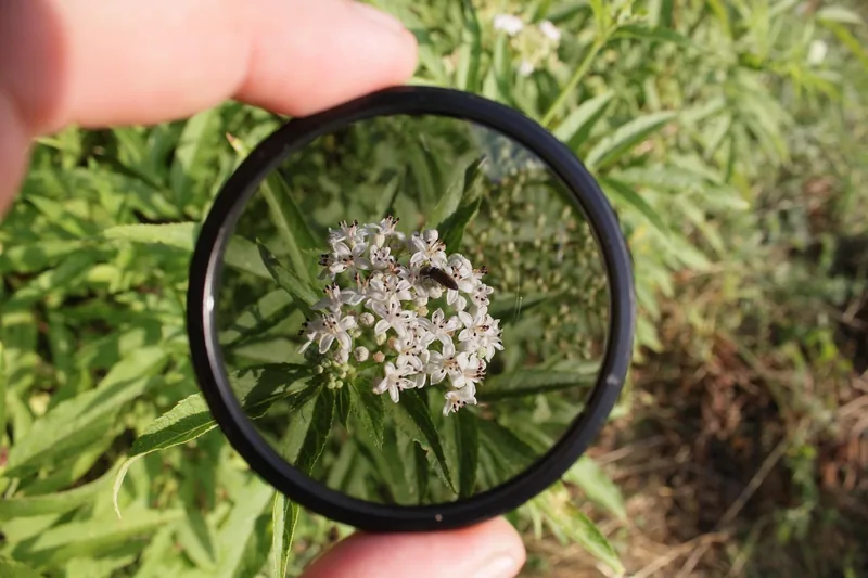 Ein hochwertiger zirkularer Polarisationsfilter für Kameras, klar erkennbar auf neutralem Hintergrund.