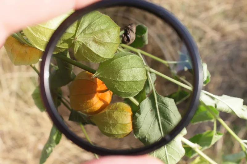 Detailaufnahme eines Polarisationsfilters, die hochwertige Glasoberfläche und den Drehring zeigend.