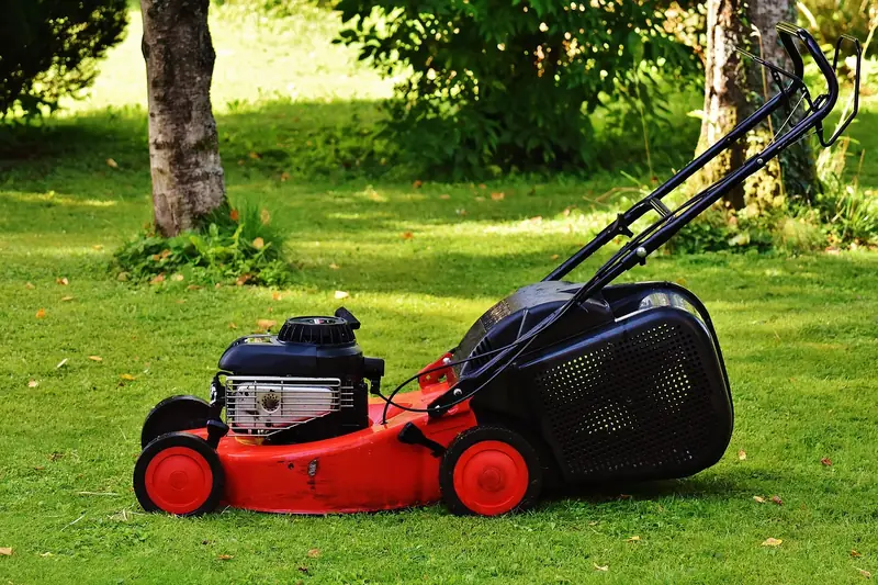 Ein perfekt gepflegter Garten mit sattgrünem Rasen und präzisen Mähstreifen, einladende Atmosphäre.