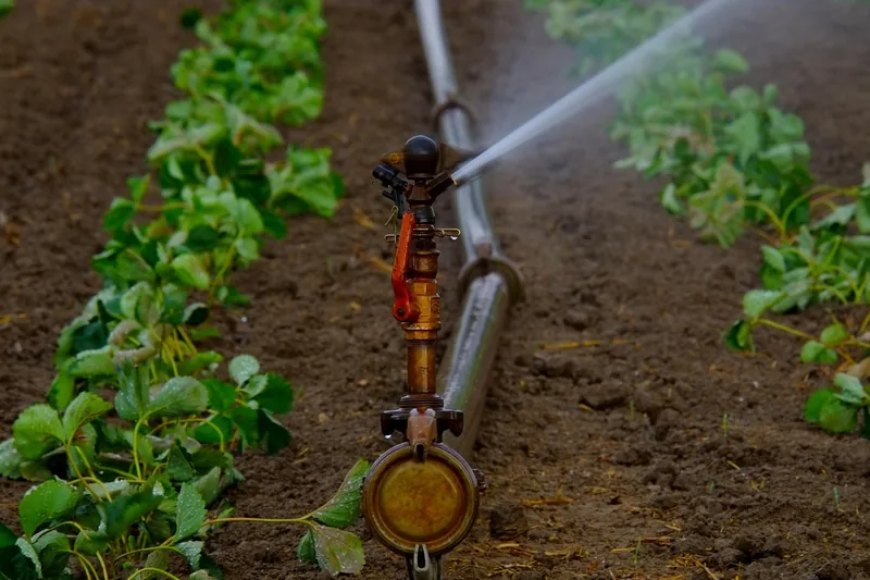 Nahaufnahme eines Rasensprenger-Mechanismus, der die präzise Wasserverteilung zeigt.