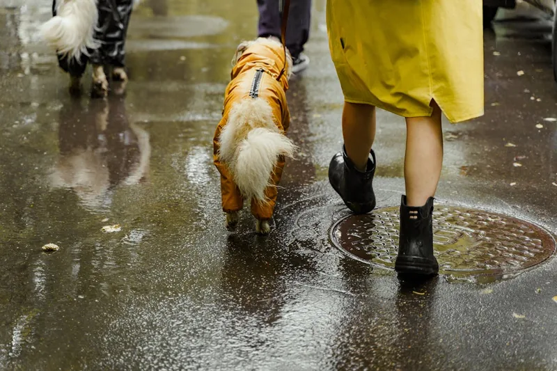 Eine Person trägt einen stylischen Regenmantel beim Spaziergang in der Stadt, auf die Passform achtend.