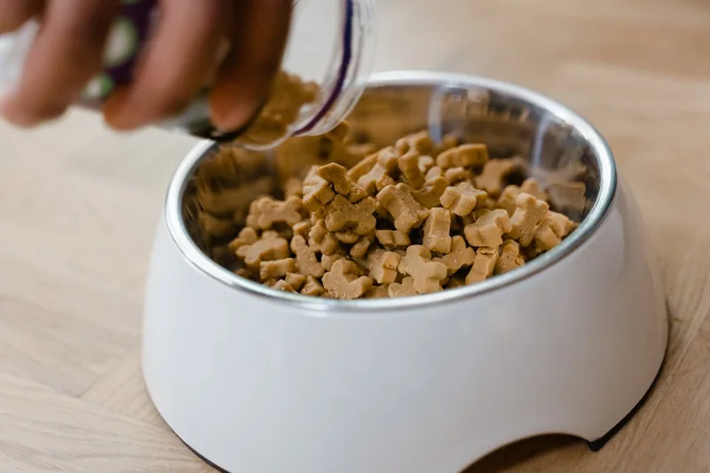 Eine Hand füllt frisches Hundefutter in einen Fressnapf, bereit für die Mahlzeit des Hundes.