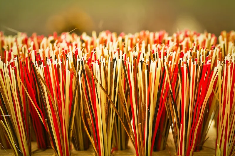 Detailaufnahme der Borsten eines Rückenschrubbers zur Darstellung des Materials.