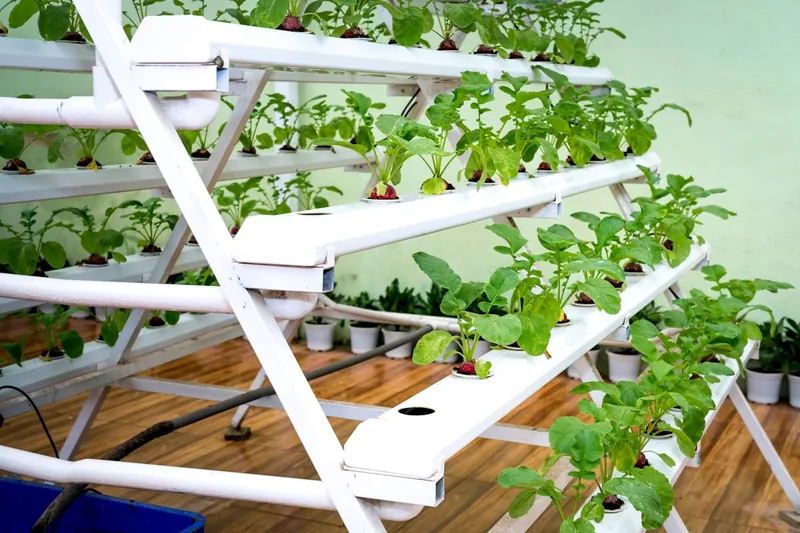 Ein modernes Smart Garden System mit integrierter LED-Beleuchtung für den Heimanbau.
