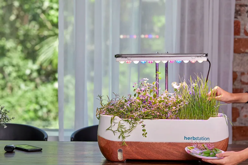 Ein Smart Garden mit blühenden Pflanzen als stilvoller Akzent in einer modernen Küche.