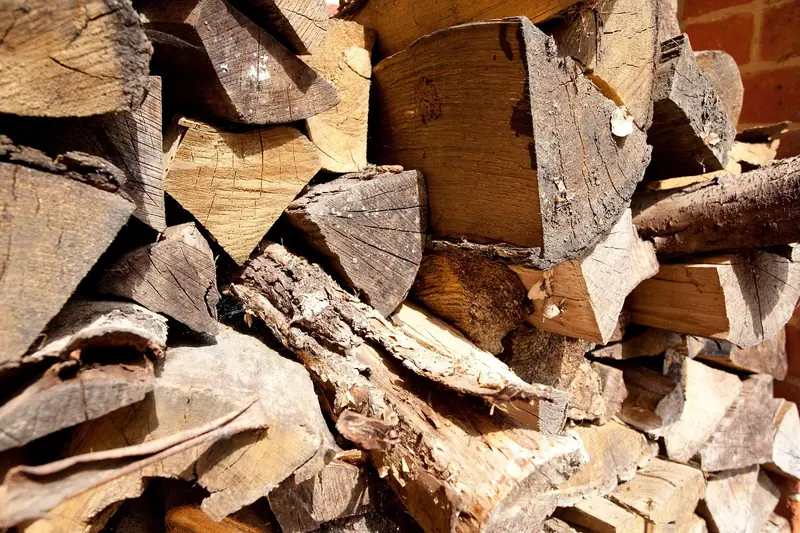 Ein großer Stapel frisch gespaltenen Brennholzes im herbstlichen Wald, bereit für den Winter.