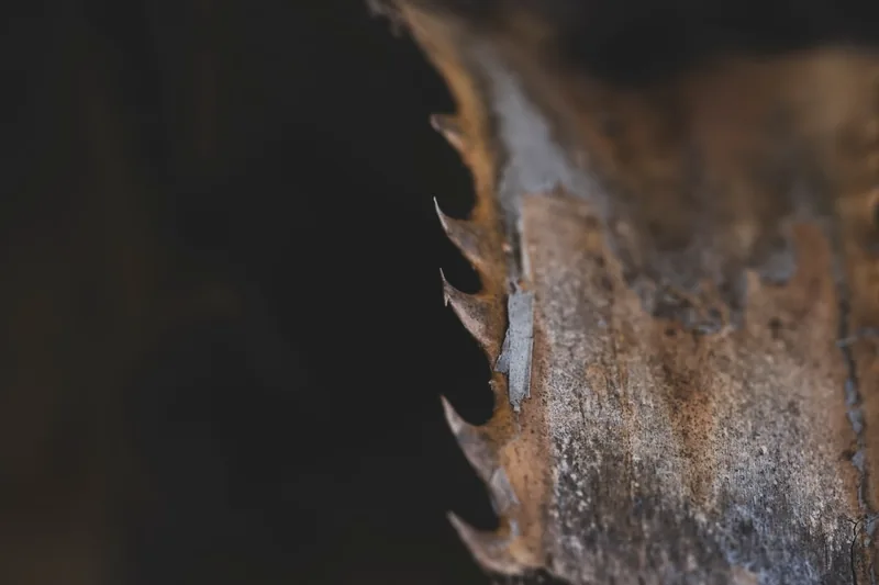 Extrem-Nahaufnahme der unterschiedlichen Zahnformen und Materialien eines Stichsägeblatts, ideal für präzise Schnitte.