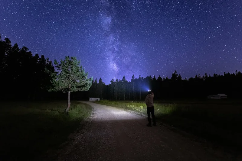 Eine Person leuchtet mit einer leistungsstarken USB Taschenlampe einen dunklen Waldweg in der Nacht aus.