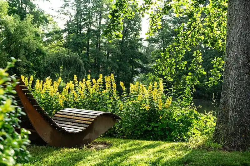 Eine sonnige Gartenszene mit Teak-Möbeln, die die Herkunft und Umgebung zeigt.