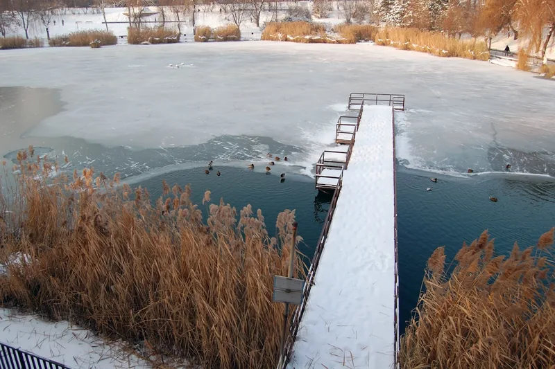 Eine Person installiert oder überprüft eine Teichheizung im Gartenteich, um das Wasser eisfrei zu halten.