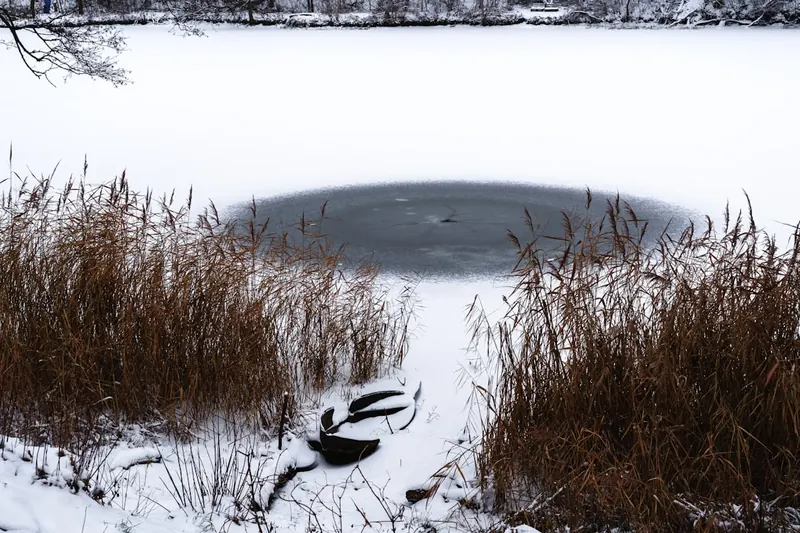 Ein idyllischer winterlicher Gartenteich mit einer eisfreien Stelle, die den erfolgreichen Einsatz einer Teichheizung zeigt.