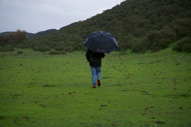 Eine Person wandert auf einem Bergpfad und nutzt einen geöffneten Trekkingschirm als Regenschutz bei Nieselwetter.