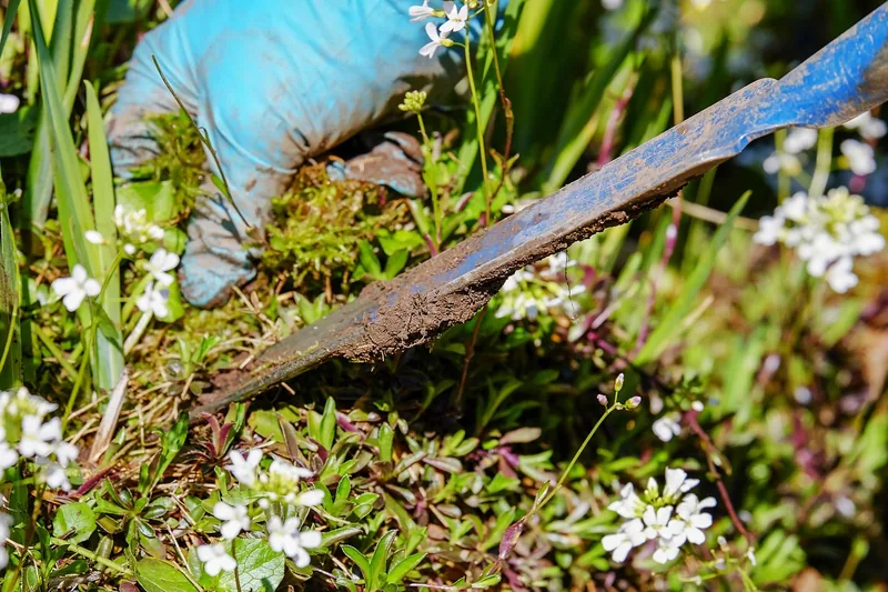 Moderner Unkrautstecher als Produktbild, isoliert und detailreich präsentiert für Gartentests.