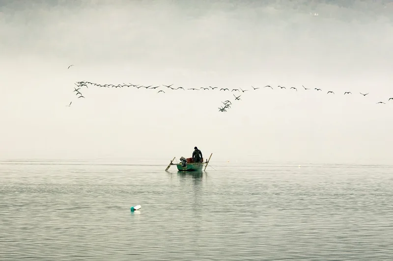 Ruhige Angelkulisse an einem See bei Sonnenaufgang, Angelruten im Wasser, entspannte Atmosphäre am Ufer.