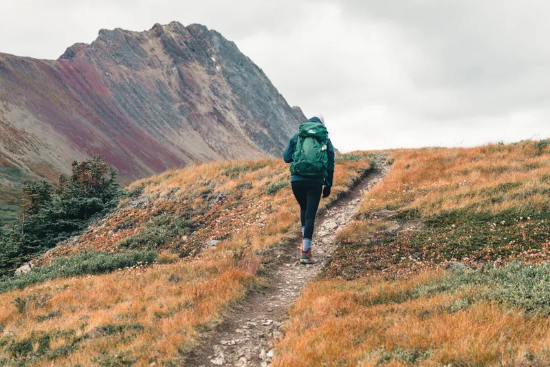 Eine Person wandert mit einem Wanderrucksack auf einem malerischen Bergpfad in der Natur.