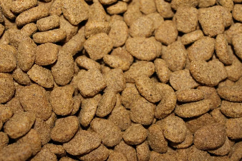 Detaillierte Nahaufnahme von Welpenfutter-Kroketten, die gesunde Inhaltsstoffe zeigen.