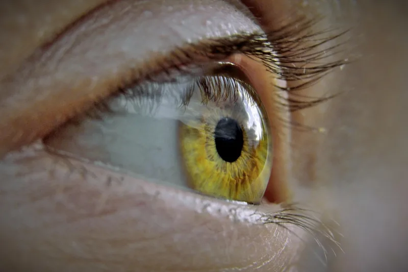Nahaufnahme von langen, dichten Wimpern einer Frau nach Anwendung eines hormonfreien Wimpernserums.